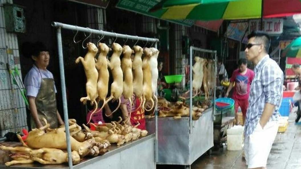 Mercado de animales salvajes en China