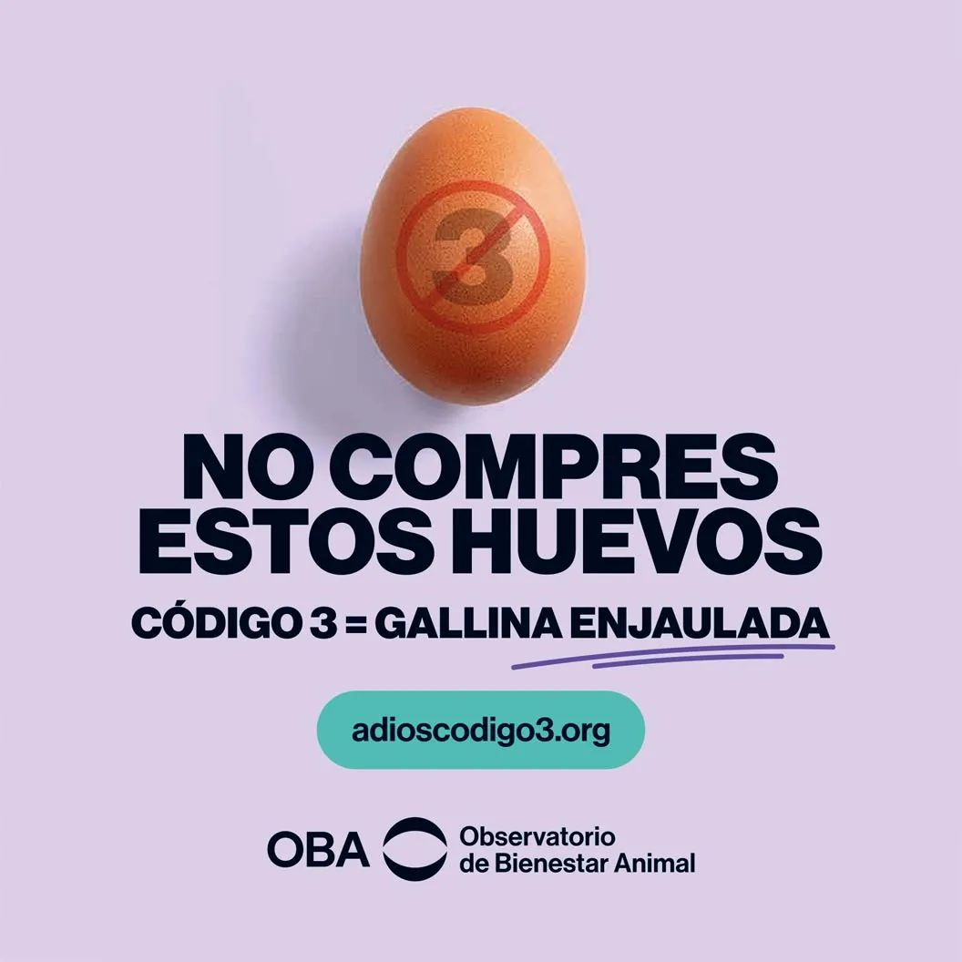 Adiós código 3