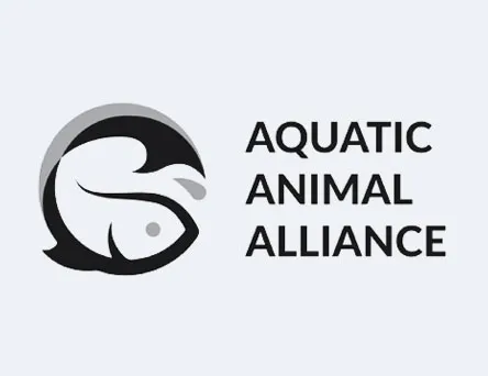Sufrimiento Animal